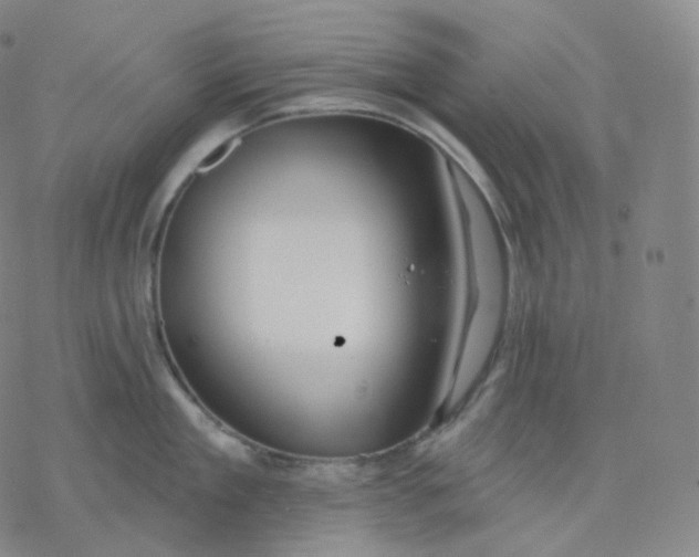 X0000076380909200610271525