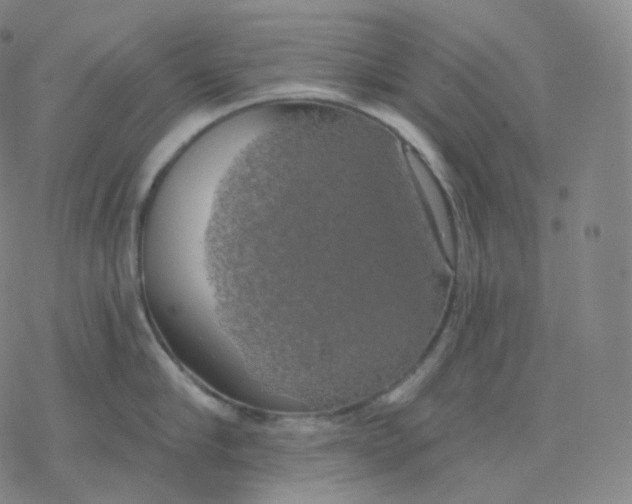 X0000076380910200610271525