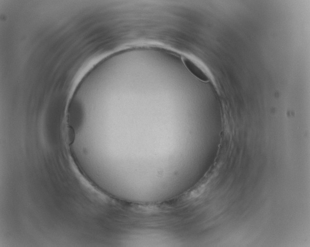 X0000076380911200610271525