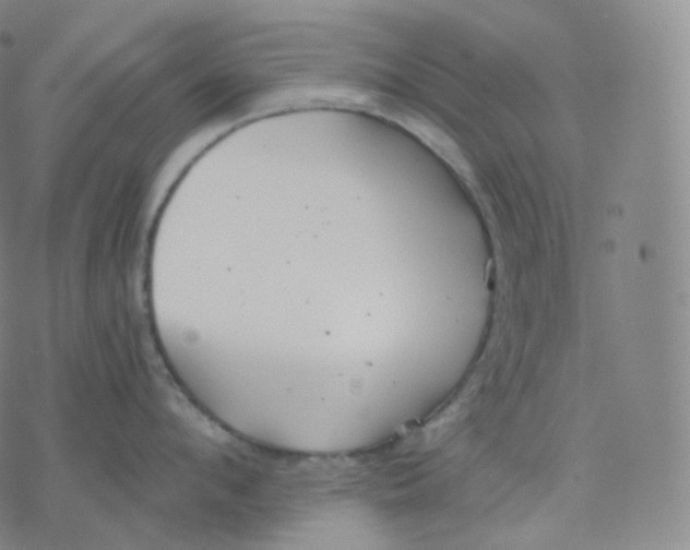 X0000076380912200610271525