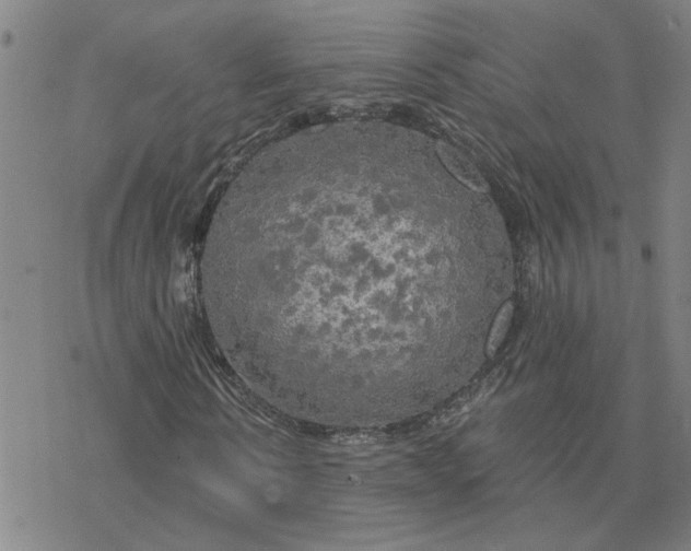 X0000076380914200610271524