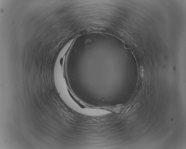 X0000076380915200610271524