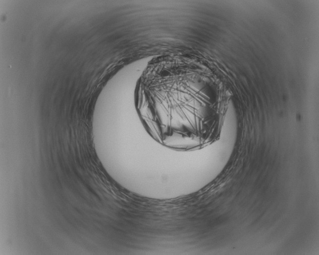 X0000076380916200610271524