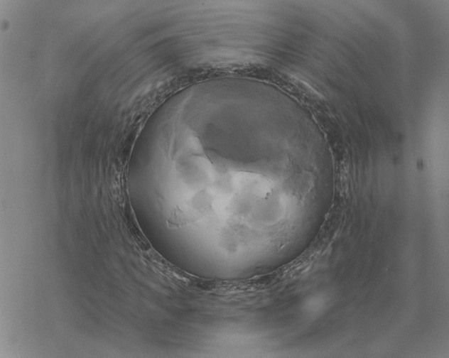 X0000076380917200610271524