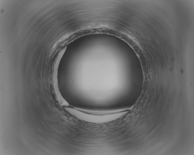 X0000076380920200610271524