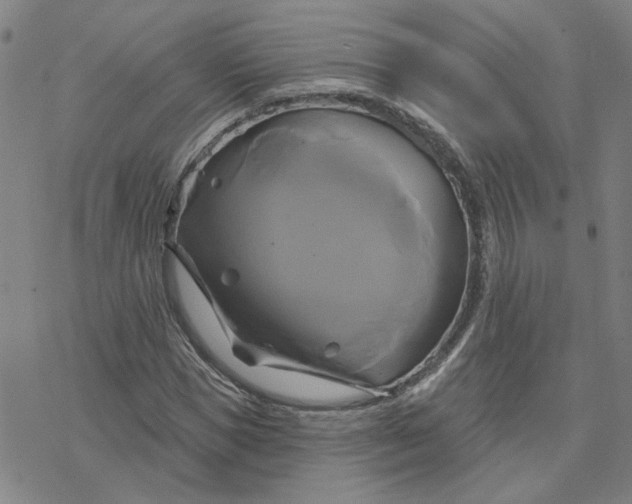 X0000076380921200610271524