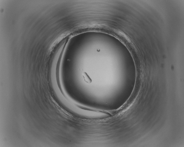 X0000076380922200610271524