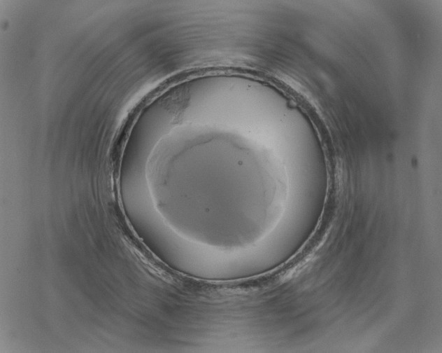 X0000076380925200610271524