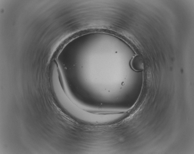 X0000076380926200610271524