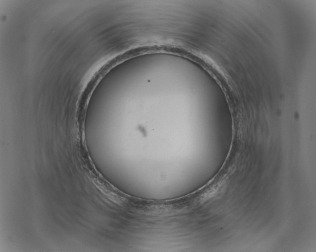 X0000076380927200610271524