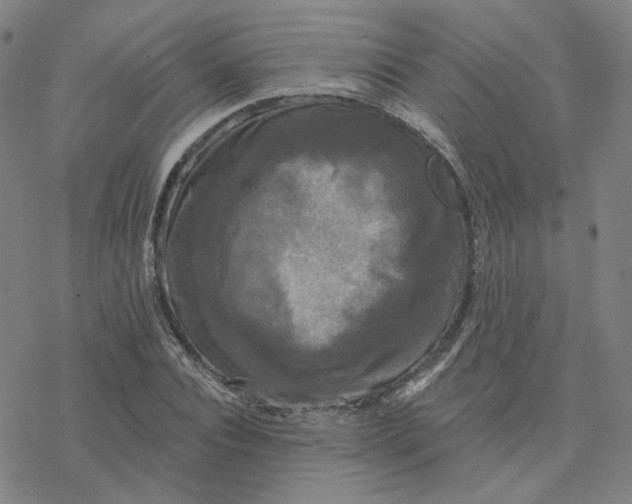 X0000076380928200610271524