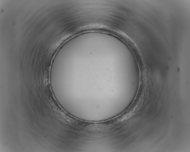 X0000076380929200610271524