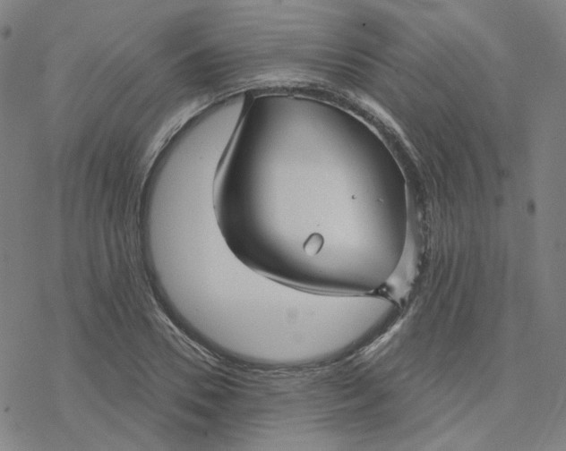 X0000076380930200610271524