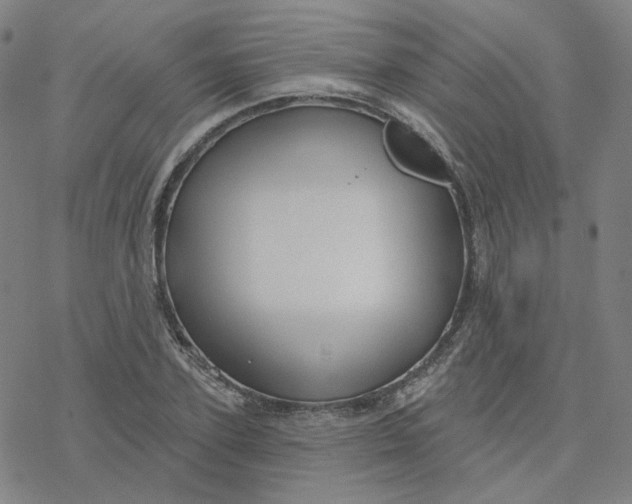 X0000076380931200610271524