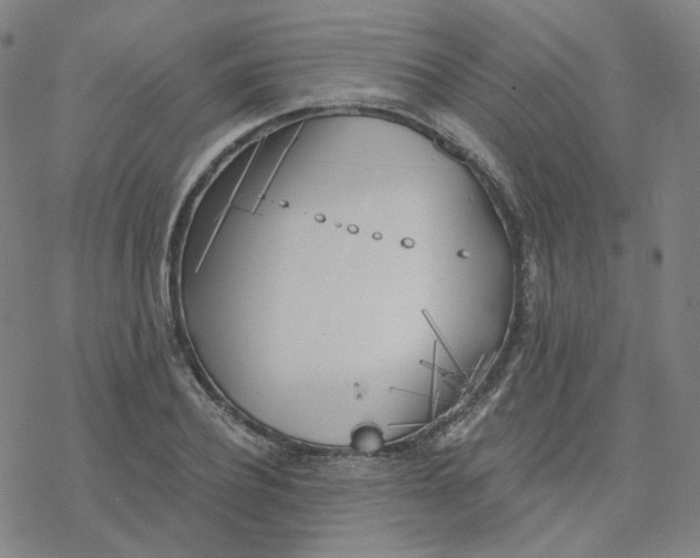 X0000076380932200610271524