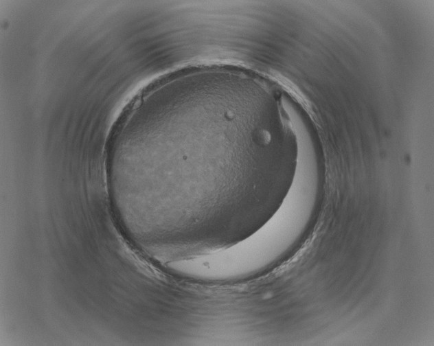 X0000076380934200610271524