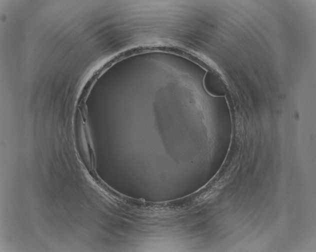 X0000076380935200610271524