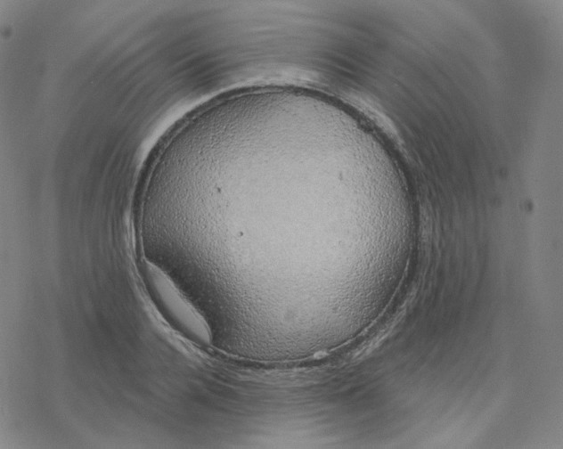 X0000076380936200610271524