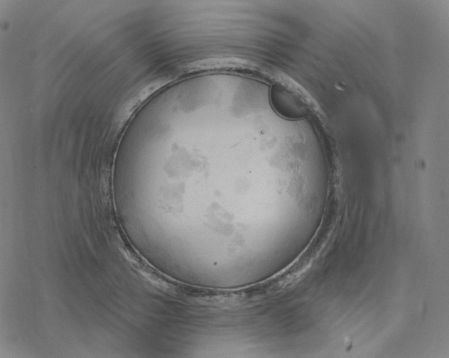 X0000076380937200610271524