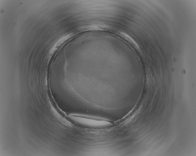 X0000076380938200610271524