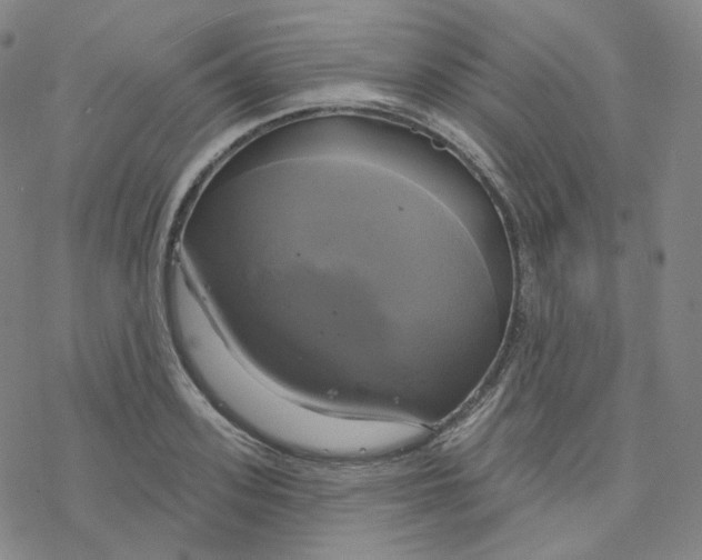 X0000076380939200610271524