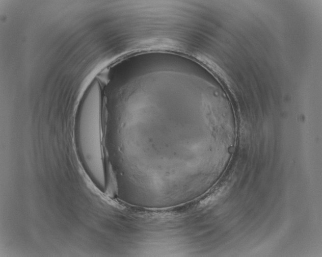 X0000076380941200610271524