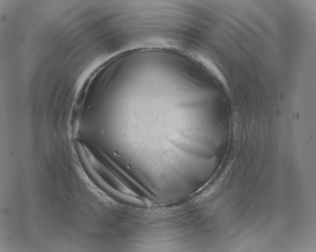 X0000076380944200610271524