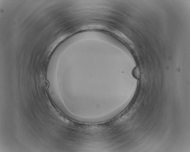 X0000076380945200610271524