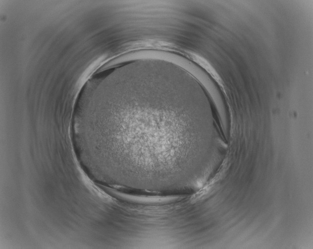 X0000076380946200610271524