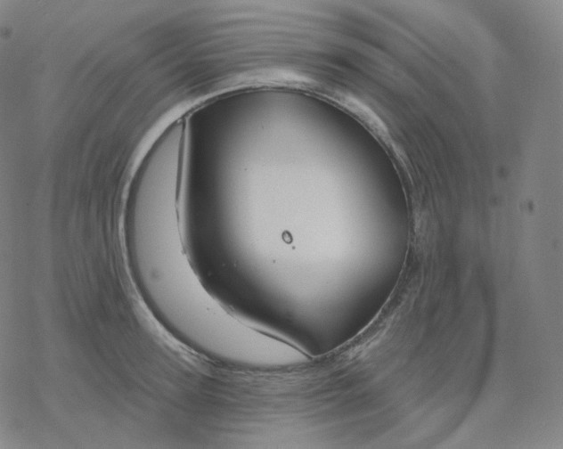 X0000076380947200610271524