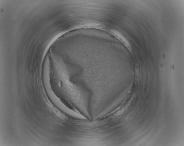 X0000076380948200610271524