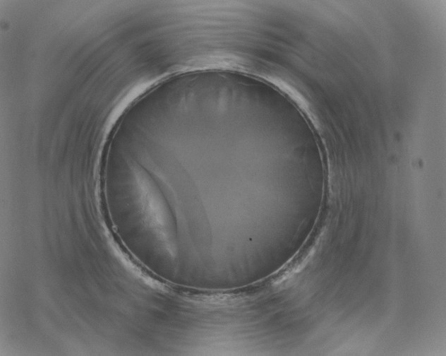 X0000076380949200610271524