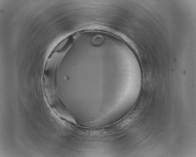 X0000076380951200610271524