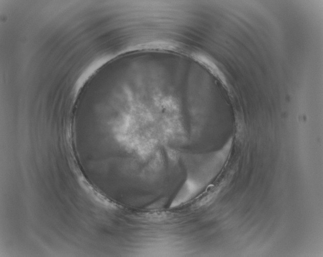 X0000076380952200610271524