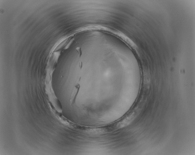 X0000076380953200610271524