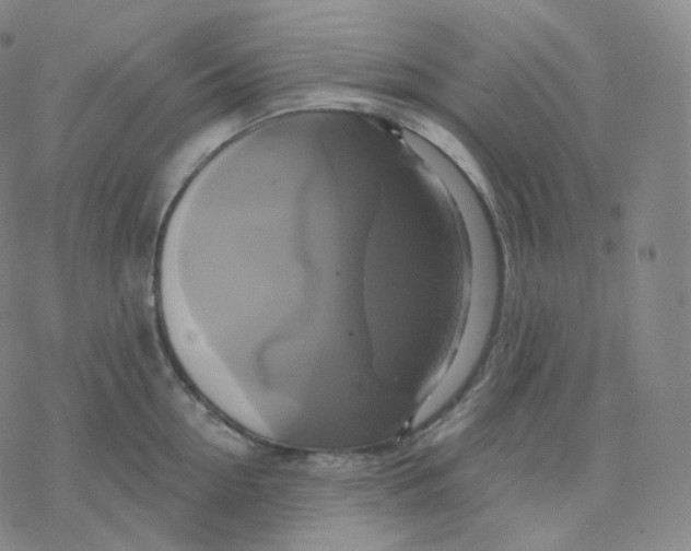 X0000076380954200610271524