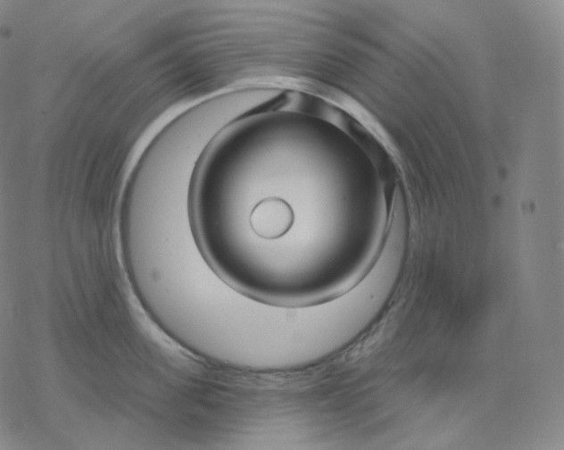 X0000076380955200610271524