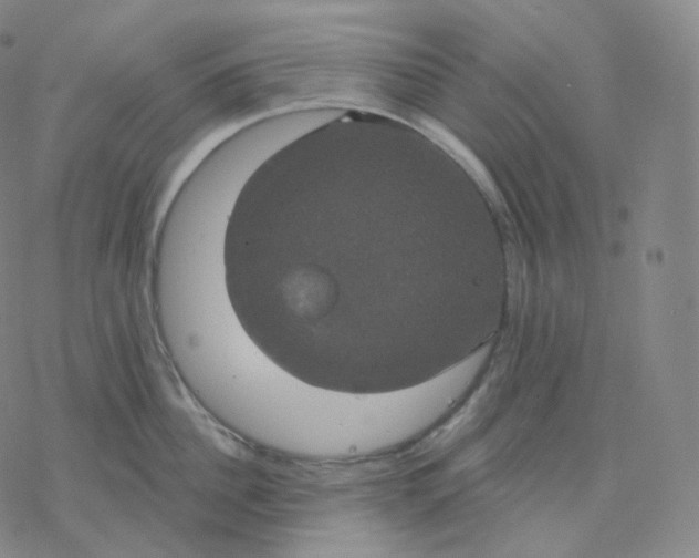 X0000076380956200610271524