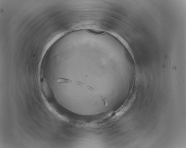 X0000076380957200610271525