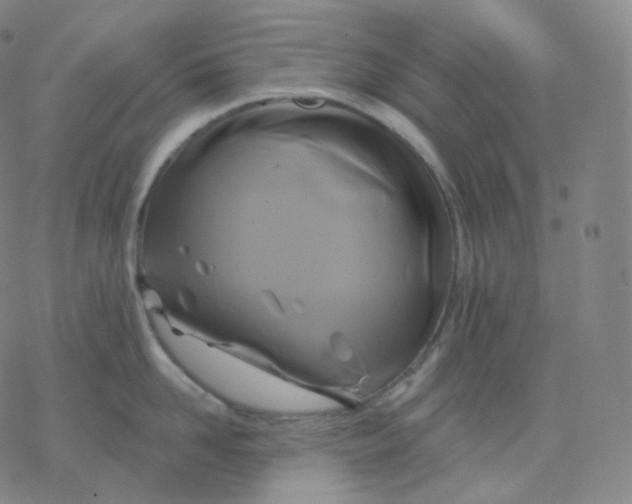 X0000076380958200610271525