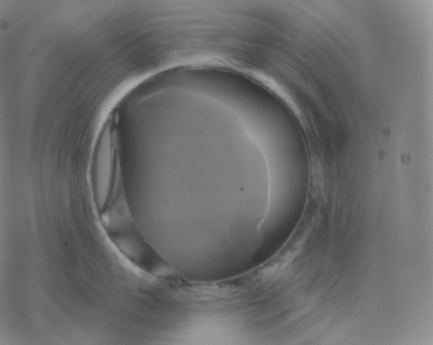 X0000076380959200610271525