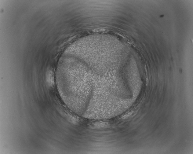 X0000076380962200610271524