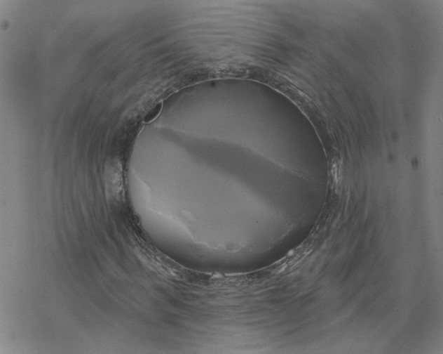 X0000076380963200610271524