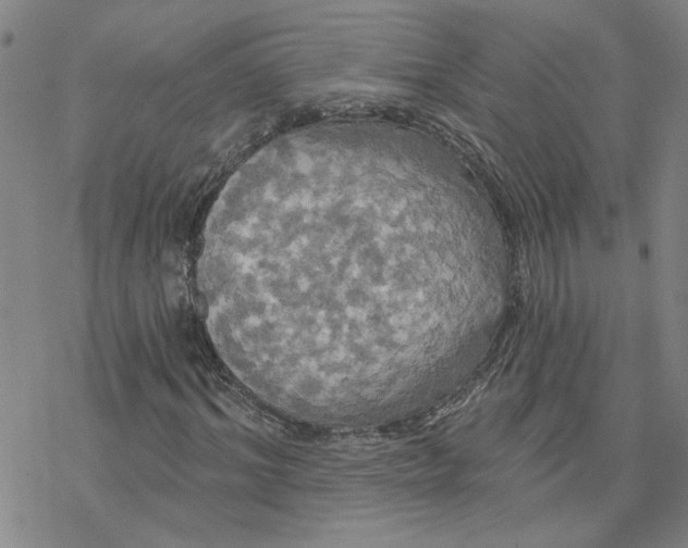 X0000076380964200610271524