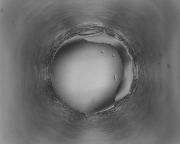 X0000076380965200610271524