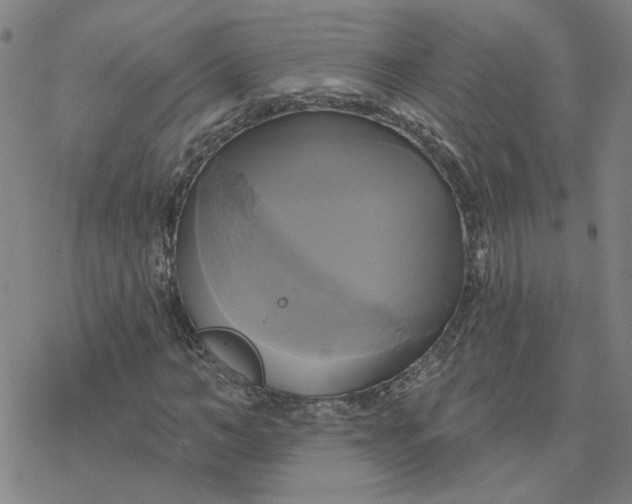 X0000076380966200610271524