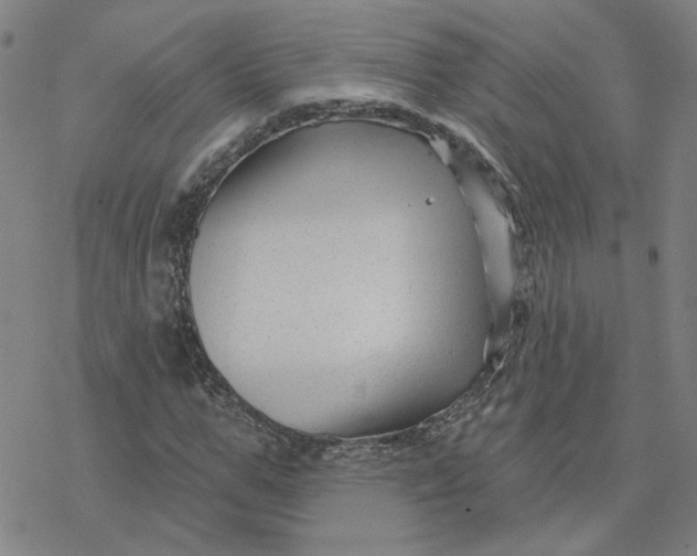 X0000076380967200610271524