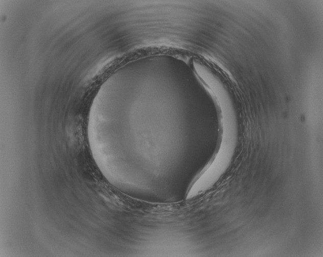 X0000076380968200610271524