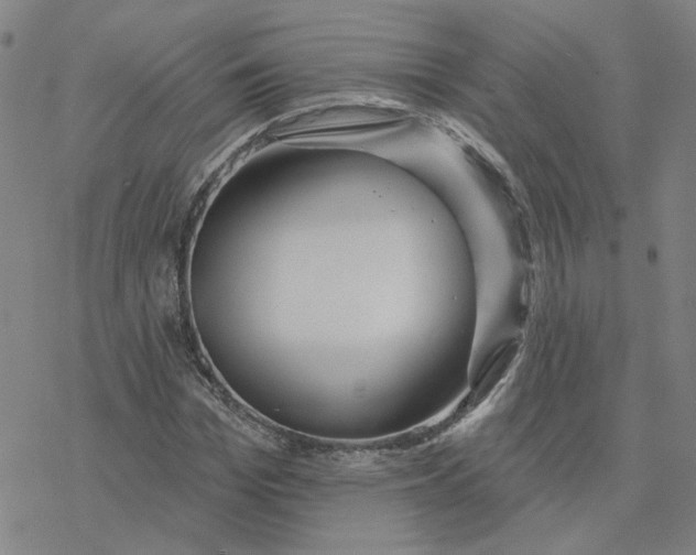 X0000076380969200610271524