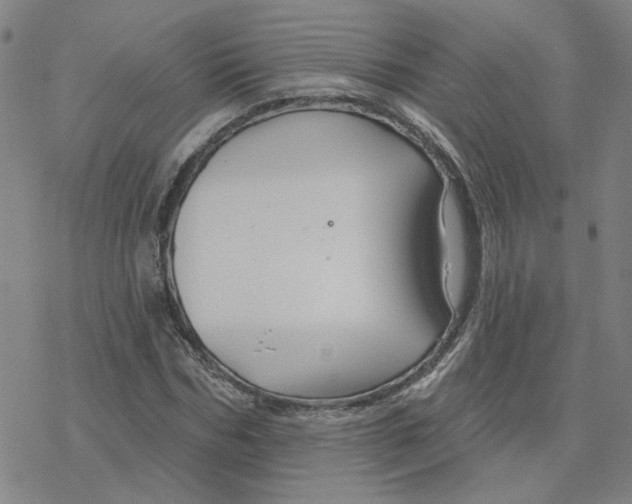 X0000076380970200610271524